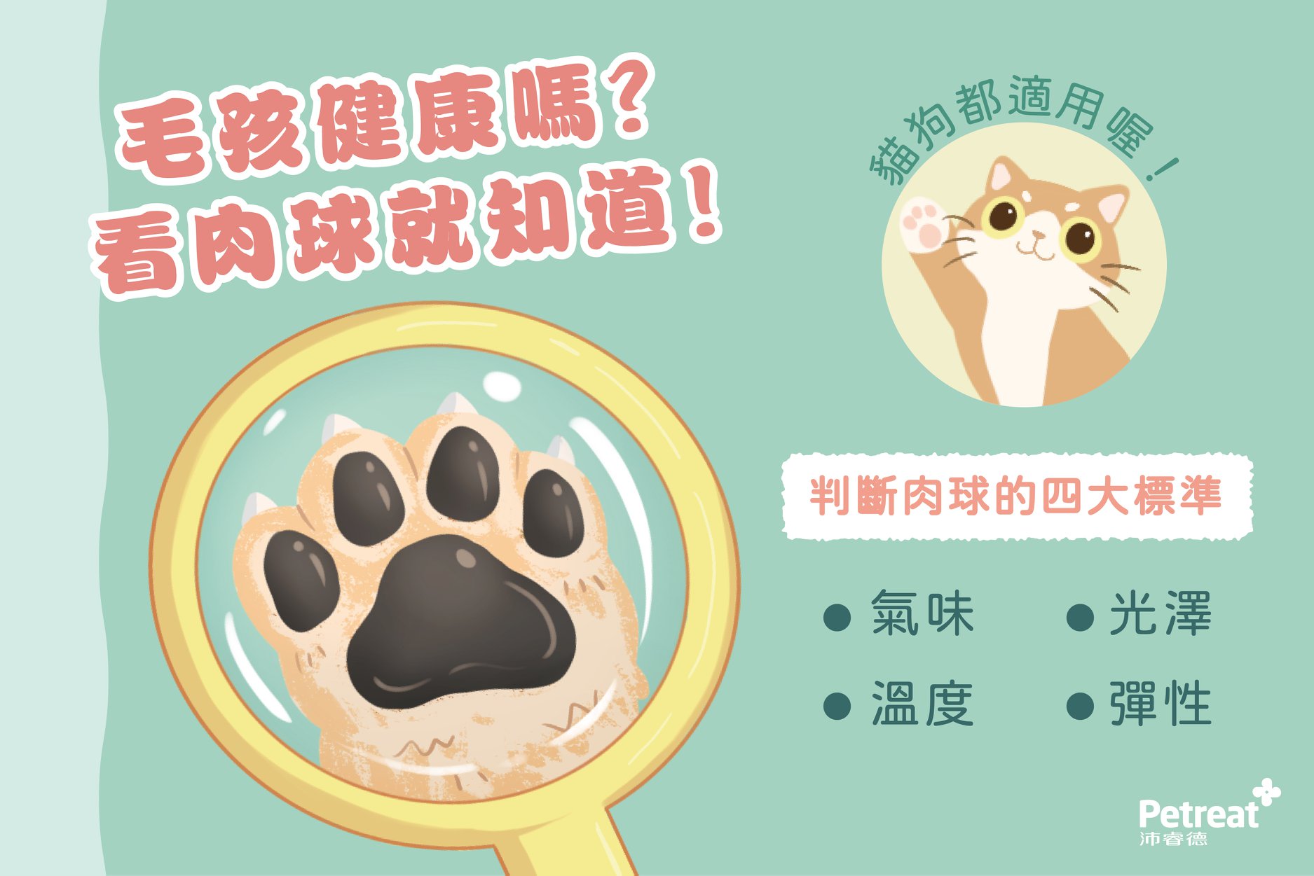 毛孩健康嗎 看肉球就知道
